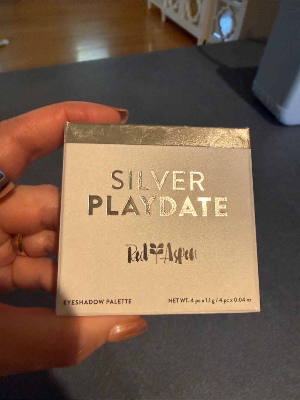 Red Aspen Silver Playdate Eyeshadow Palette - Silver